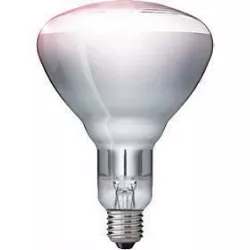 Philips InfraRed BR125 IR 250W E27 230-250V CL 923212143801