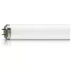 actinic-bl-tl-k-40w_10-r.webp